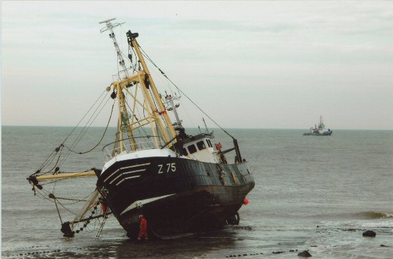 Sjaak van der Meer - Z 75 (2)